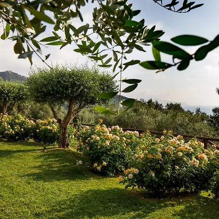 Ξενοδοχείο Fiorella Art 5*